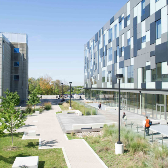 The York University toronto